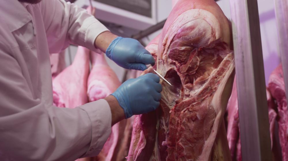découpe viande